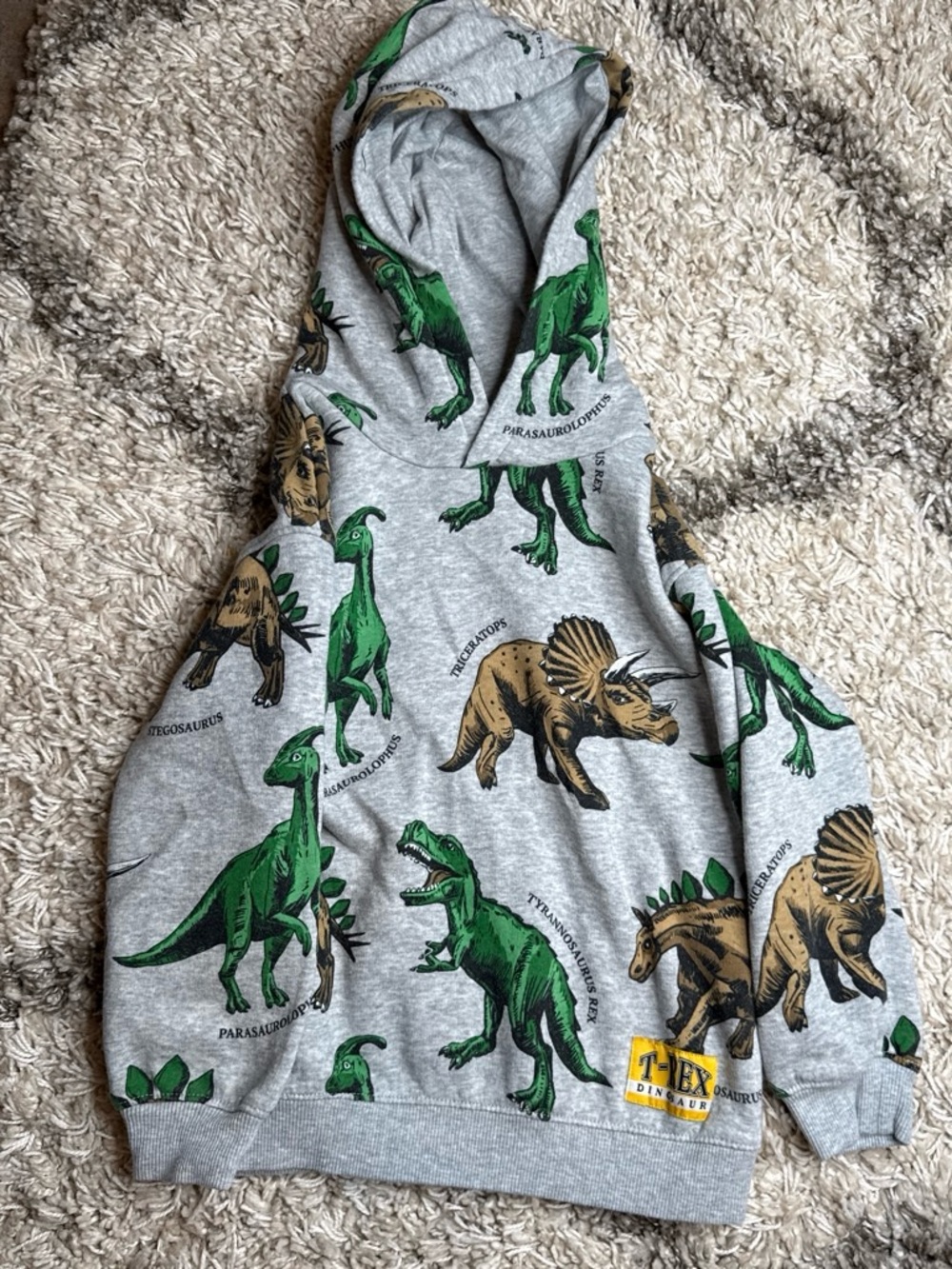 H&M Gray Hoodie with Green and Brown Dinosaur Print